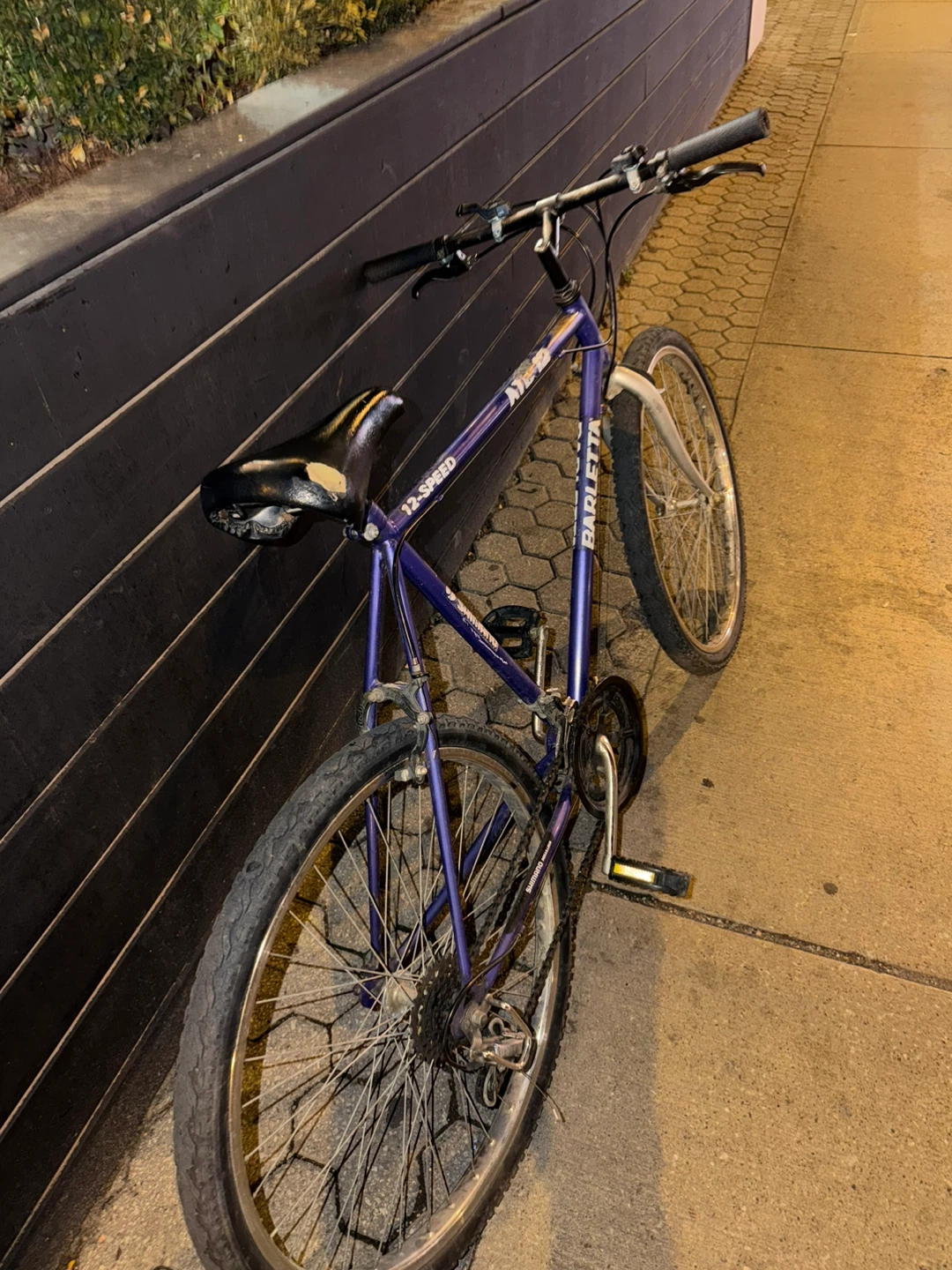 Barletta 12-Speed Bicycle - photo 3
