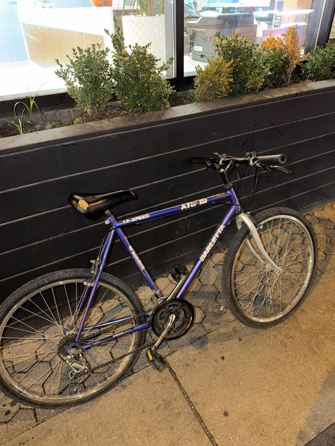Barletta 12-Speed Bicycle - photo 4
