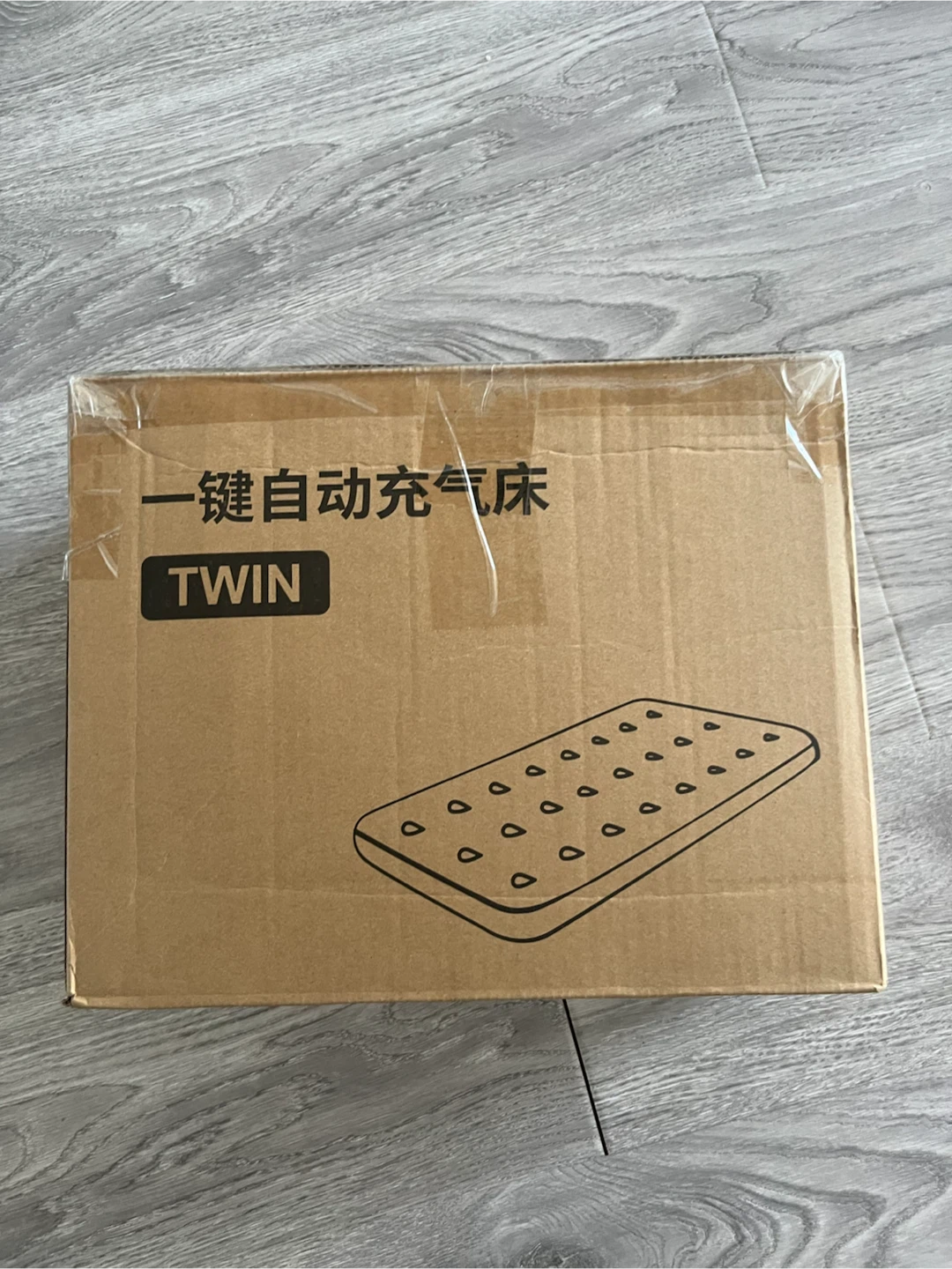 Twin Air Mattress with Built-in Pump - photo 4