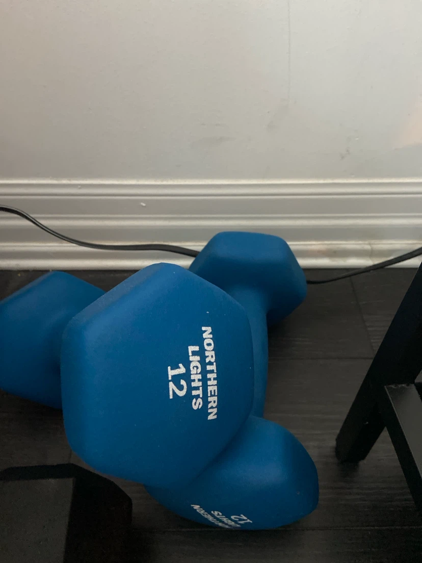 Northern Lights 12lb Vinyl Dumbbells