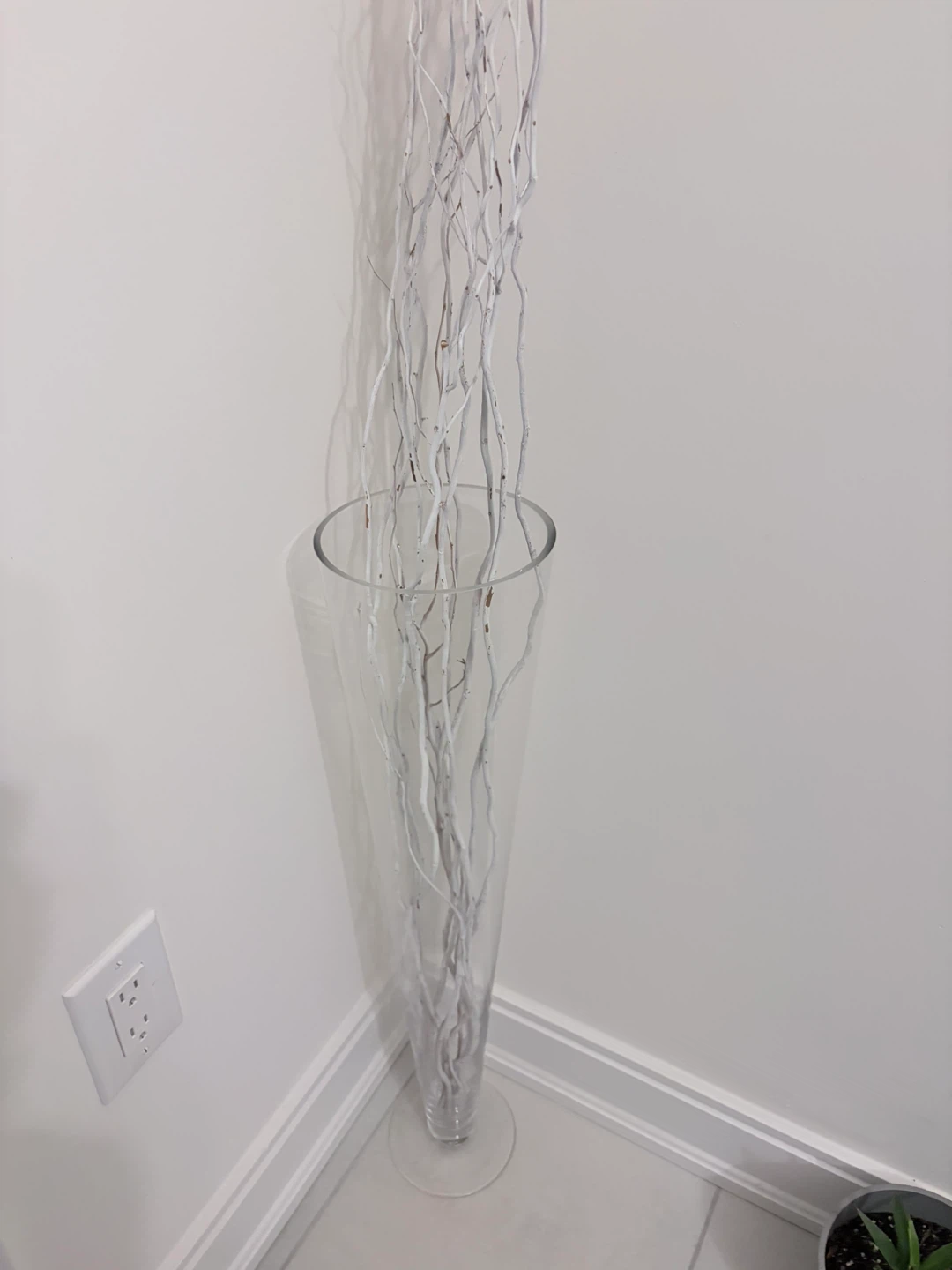 Tall Glass Floor Vase with White Branches