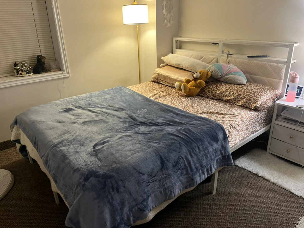Queen size LED bed frame with storage headboard