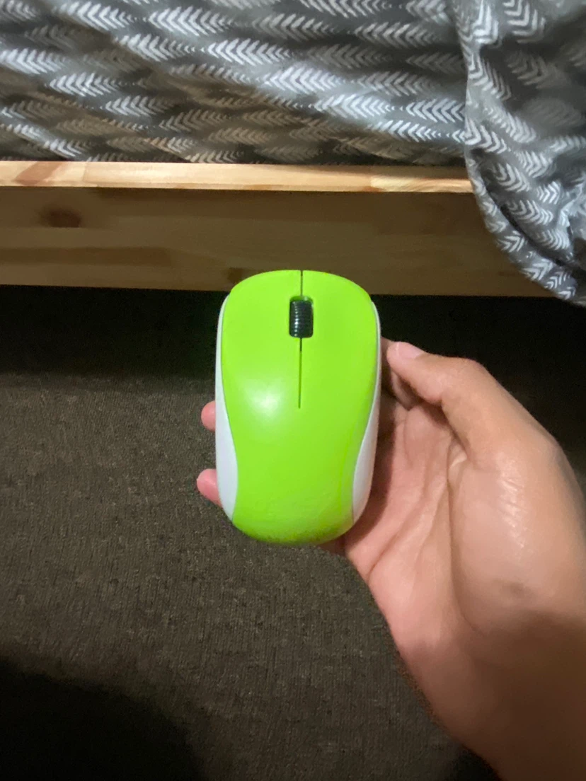 Genius Wireless Optical Mouse
