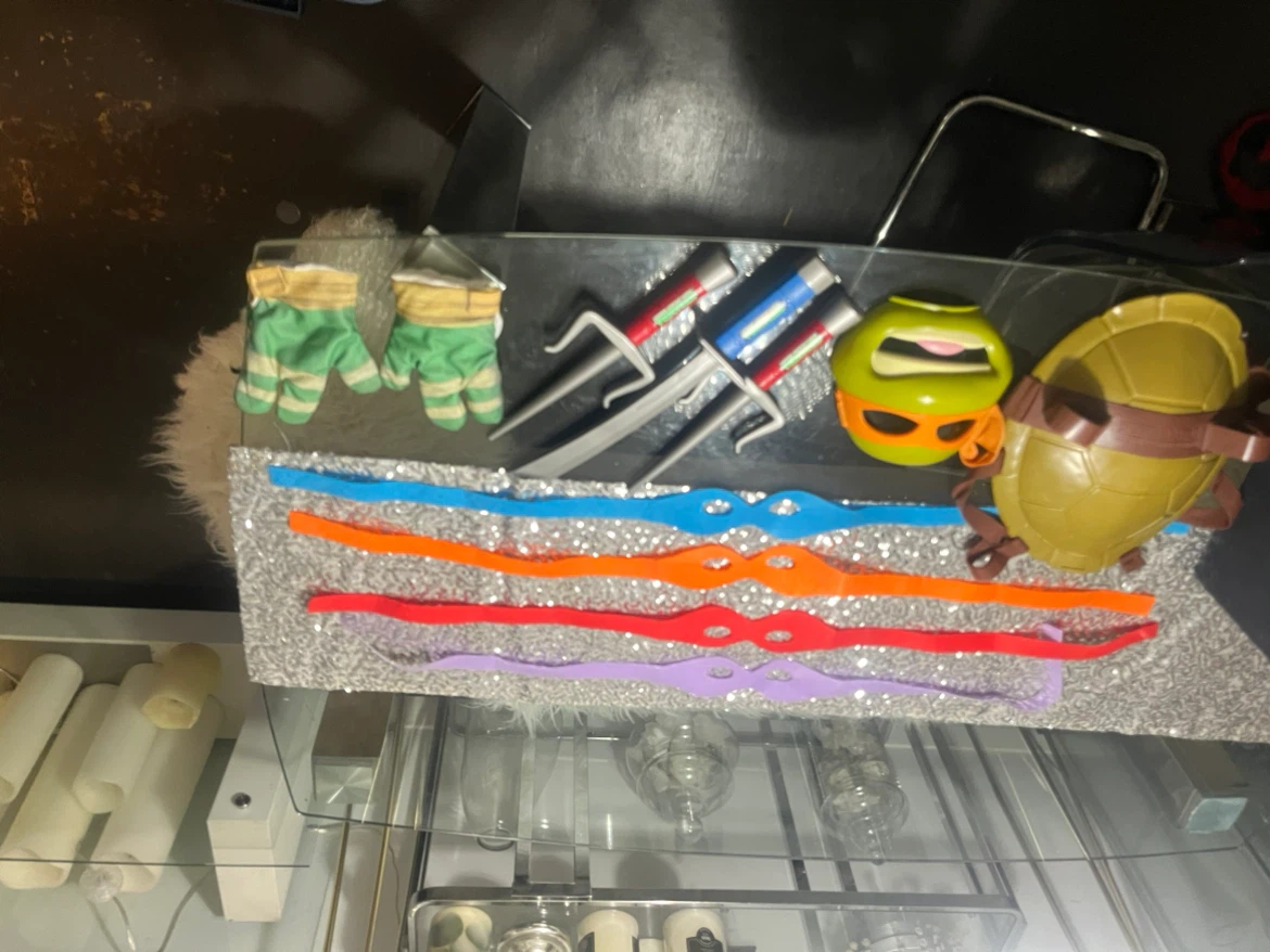 Teenage Mutant Ninja Turtles Costume Accessories - photo 3