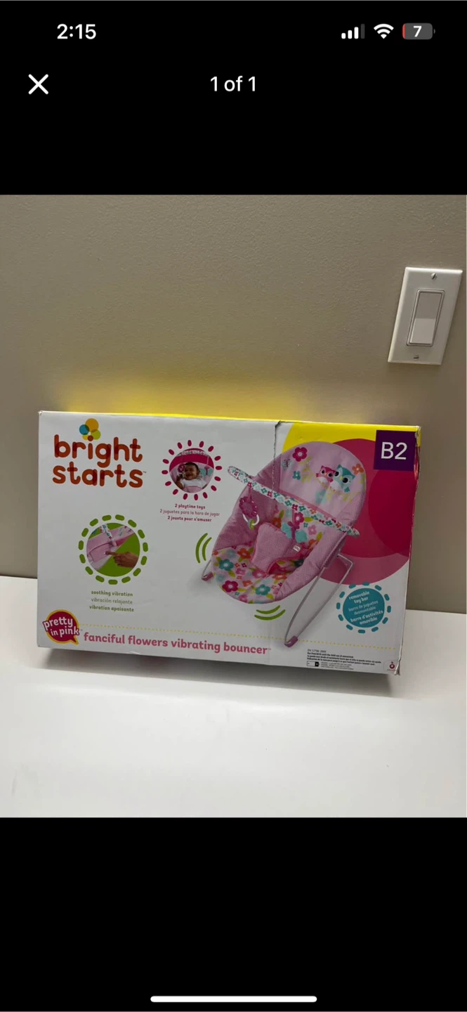 Bright Starts Fanciful Flowers Vibrating Bouncer