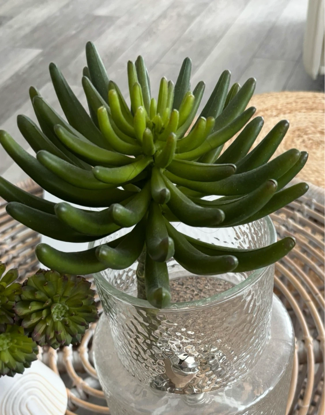 Artificial Succulent