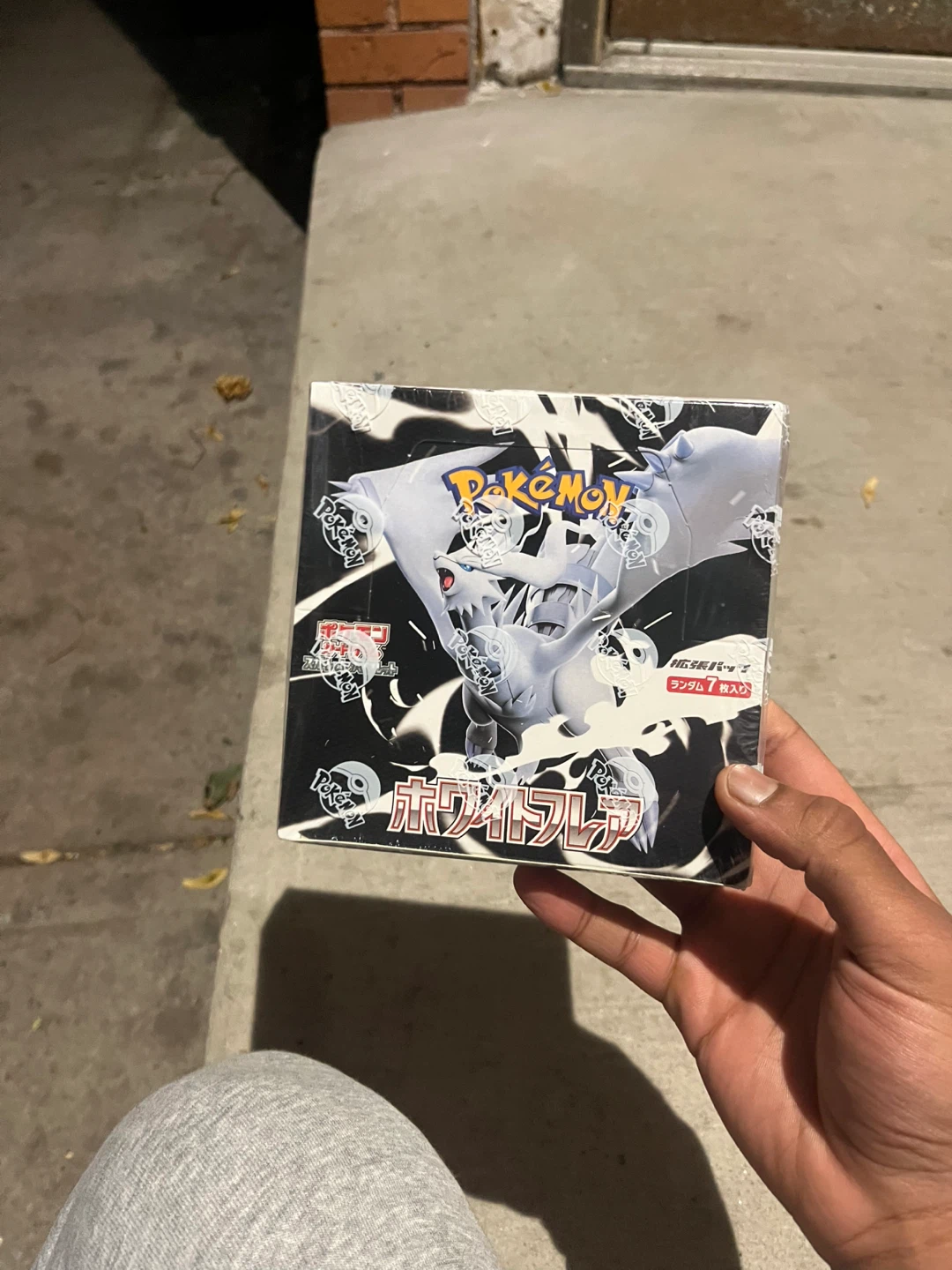 Pokémon Trading Card Booster Box