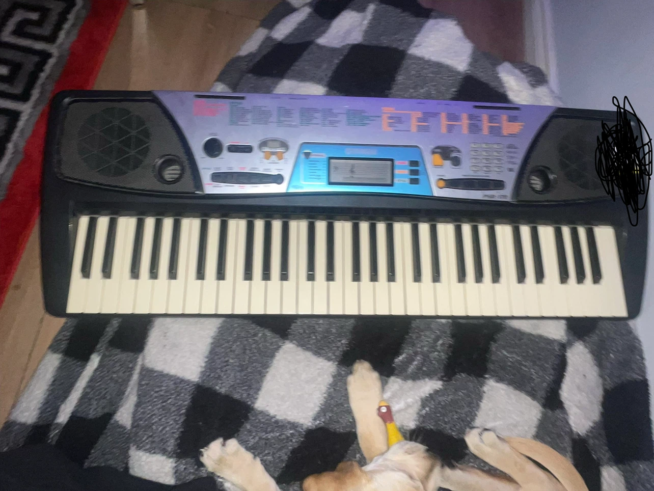 Vintage 2001 piano sounds great(puppy not included)