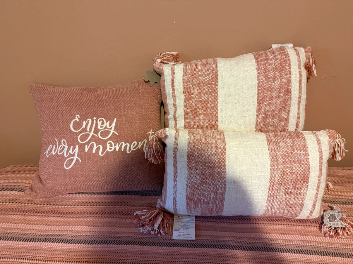 Set of 3 Decorative Throw Pillows
