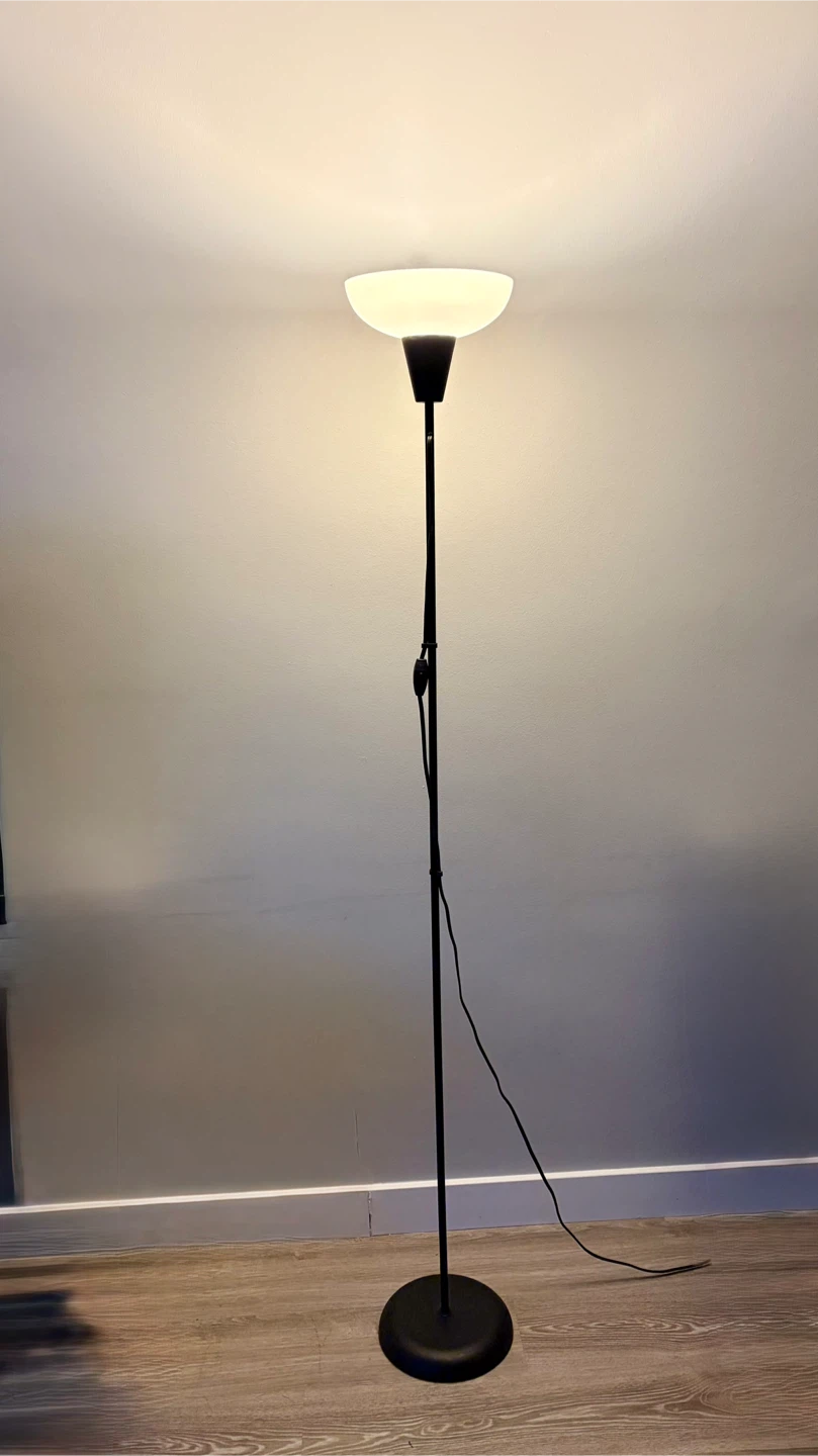 Black Floor Lamp with LED Bulb