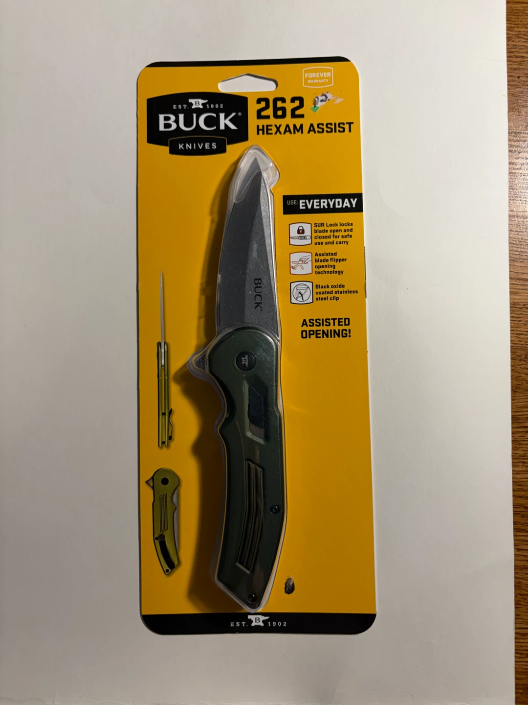 Buck Knives 262 Hexam Assist Everyday Knife