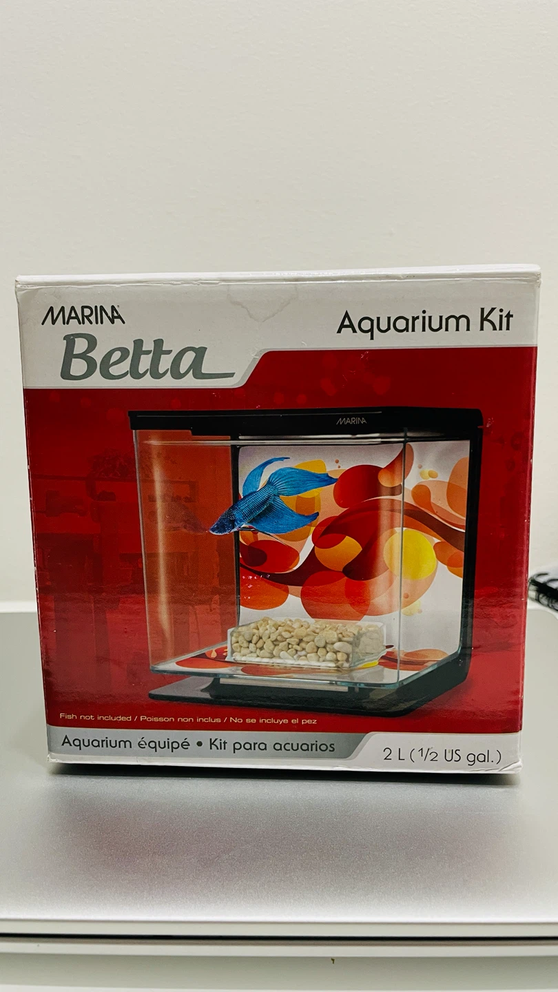 Beta fish tank