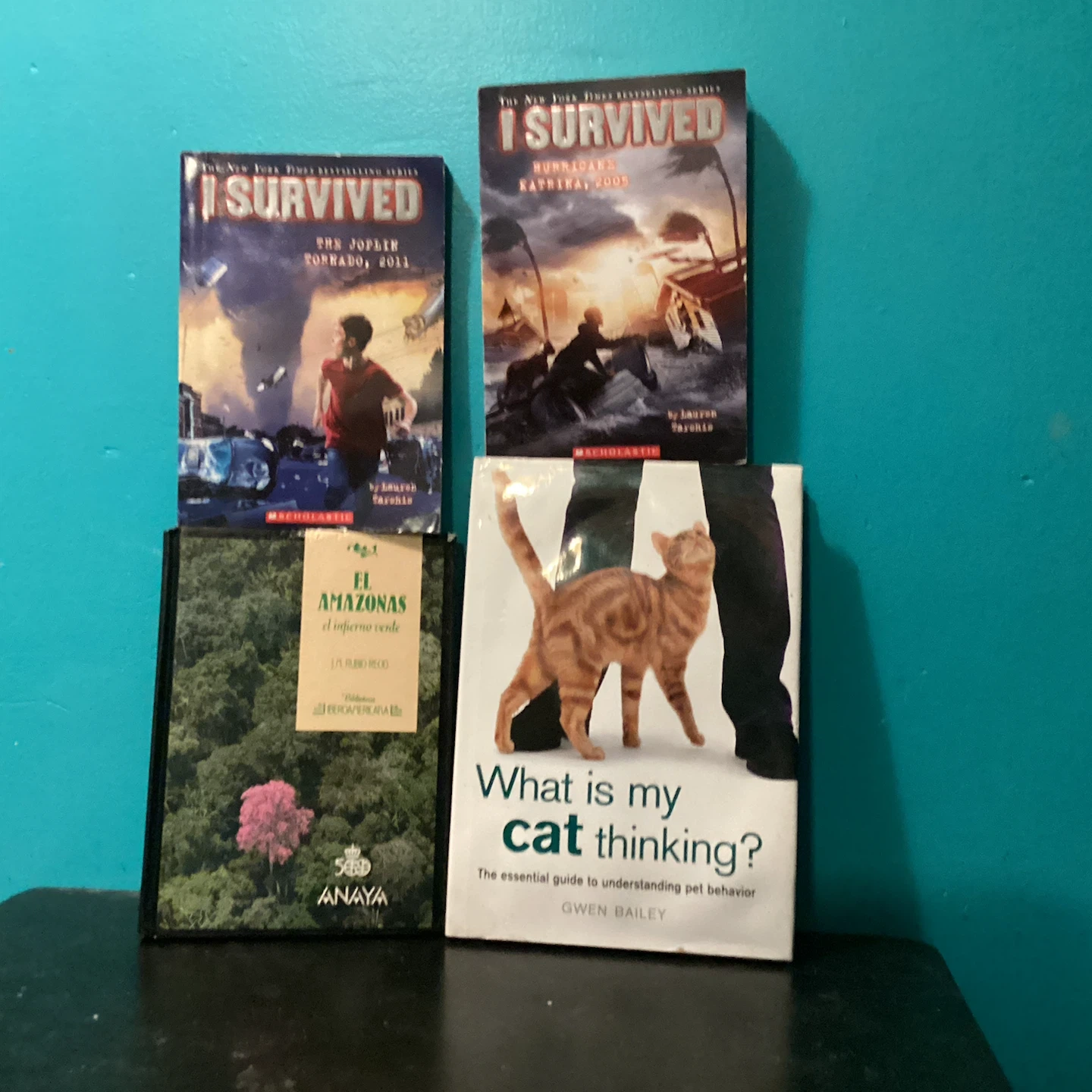 Set of 4 Assorted Books