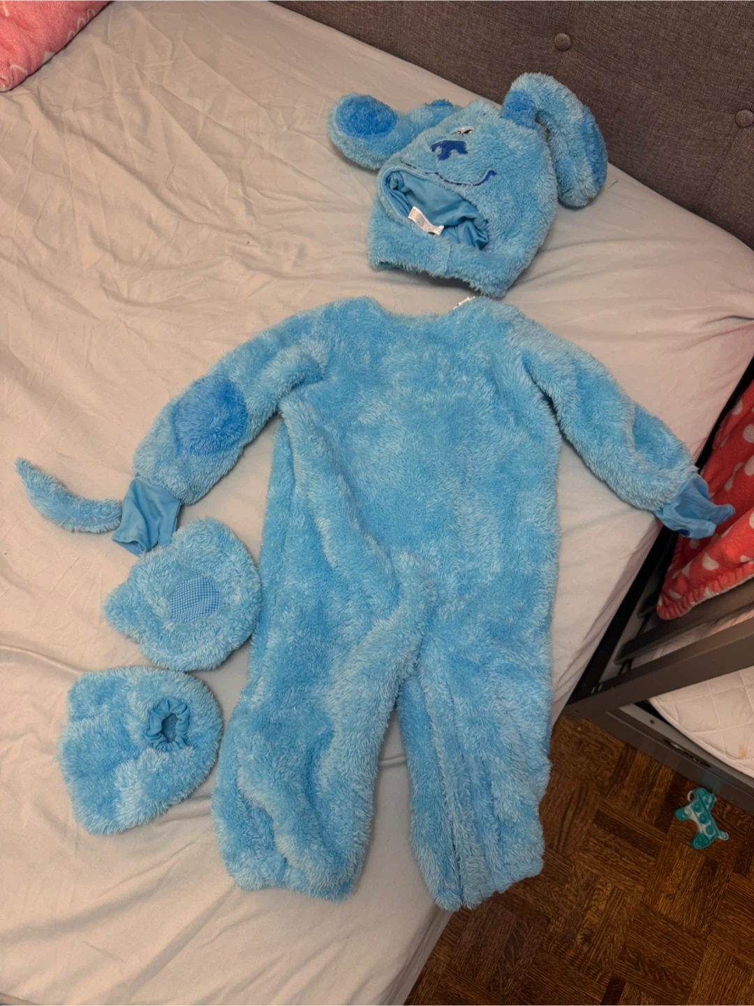 Blue's Clues Costume Set