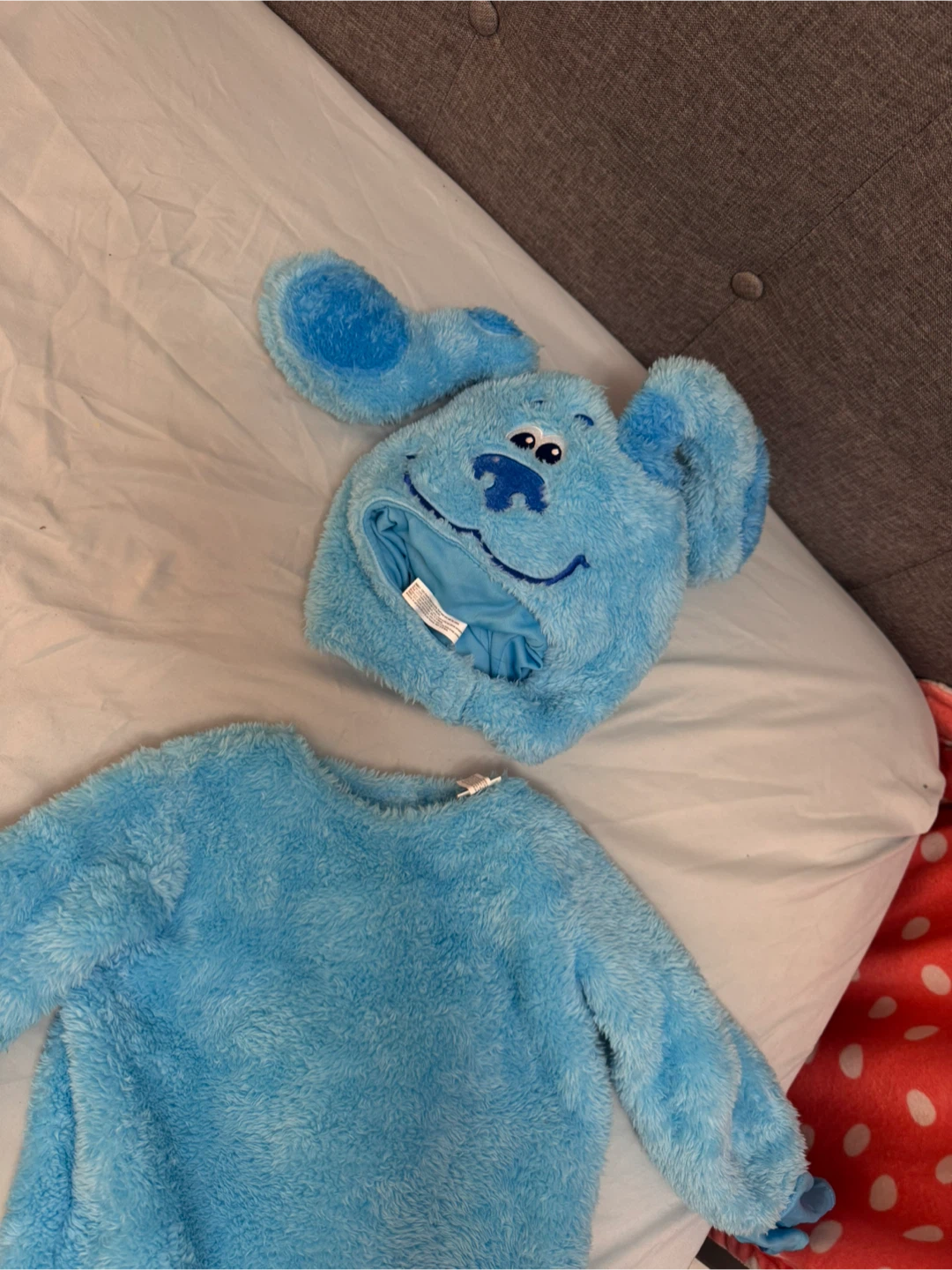 Blue's Clues Costume Set - photo 2