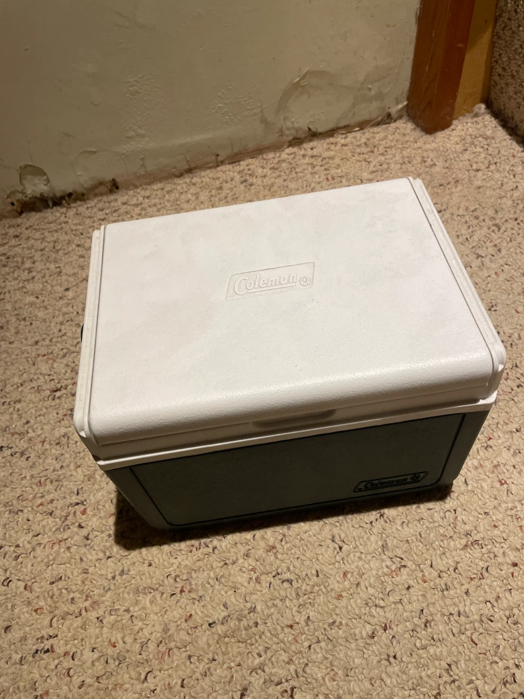 Coleman Personal Cooler