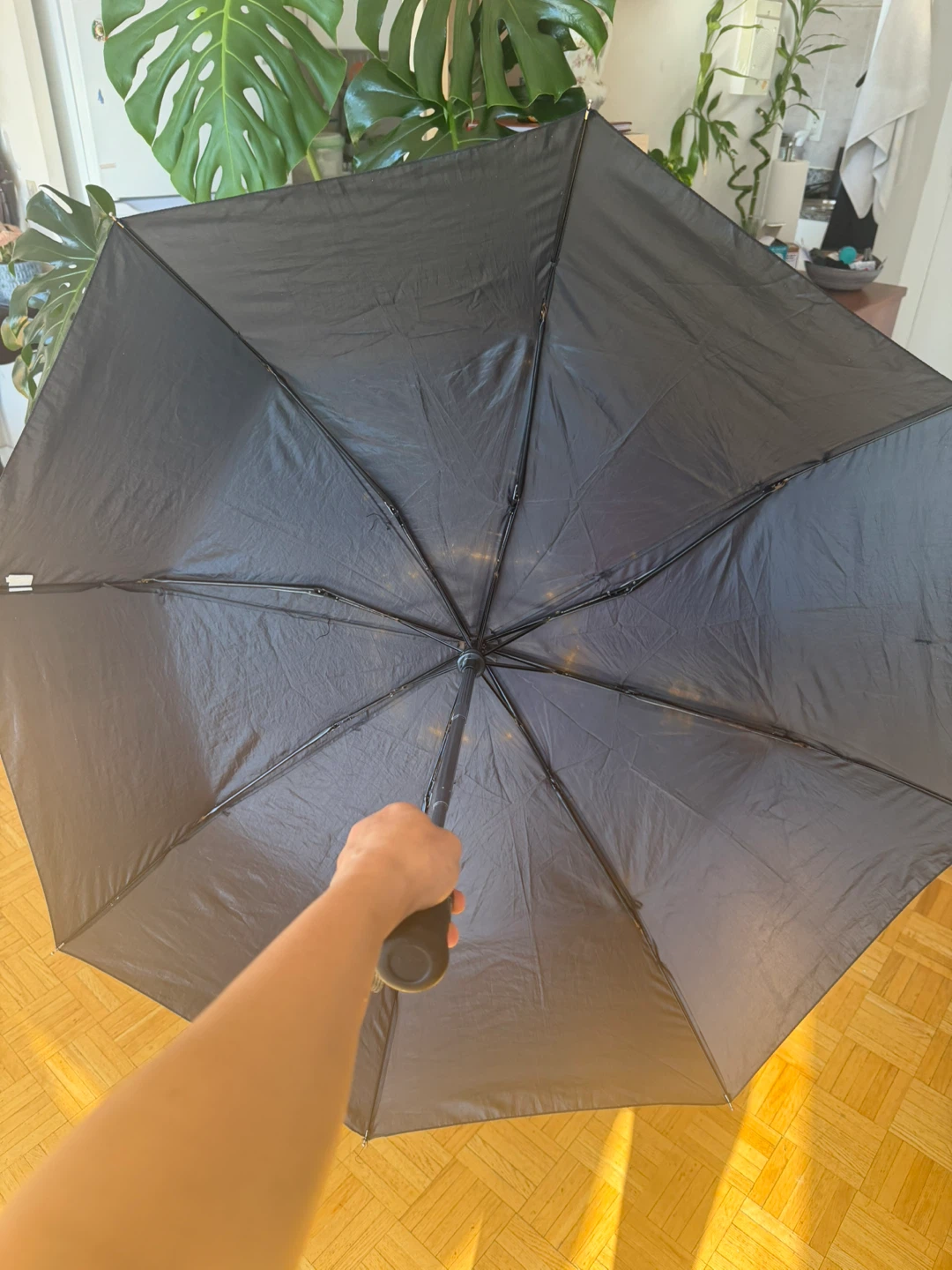 Simple black umbrella