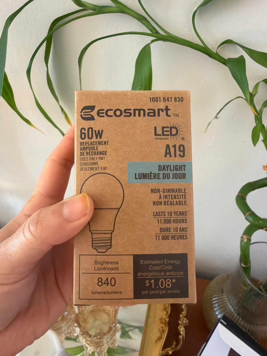 EcoSmart 60W Replacement LED A19 Light Bulb