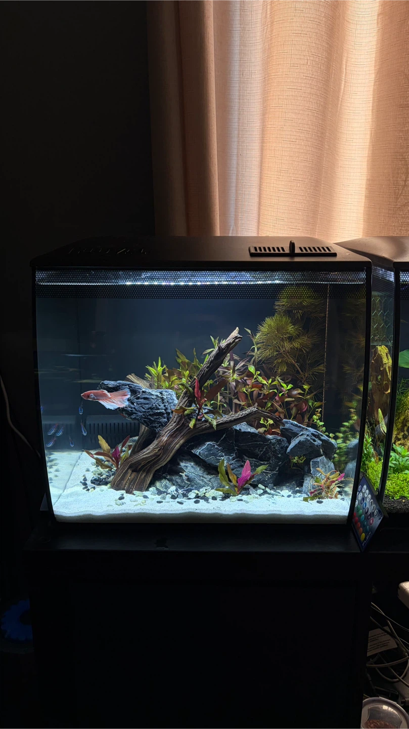 Fluval Flex 9 Gal - photo 5