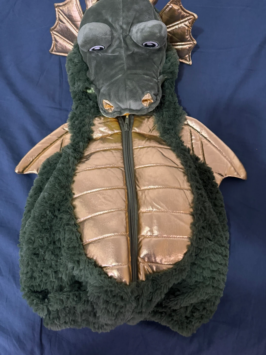 Kids Halloween Dragon Costume:  9-12 months