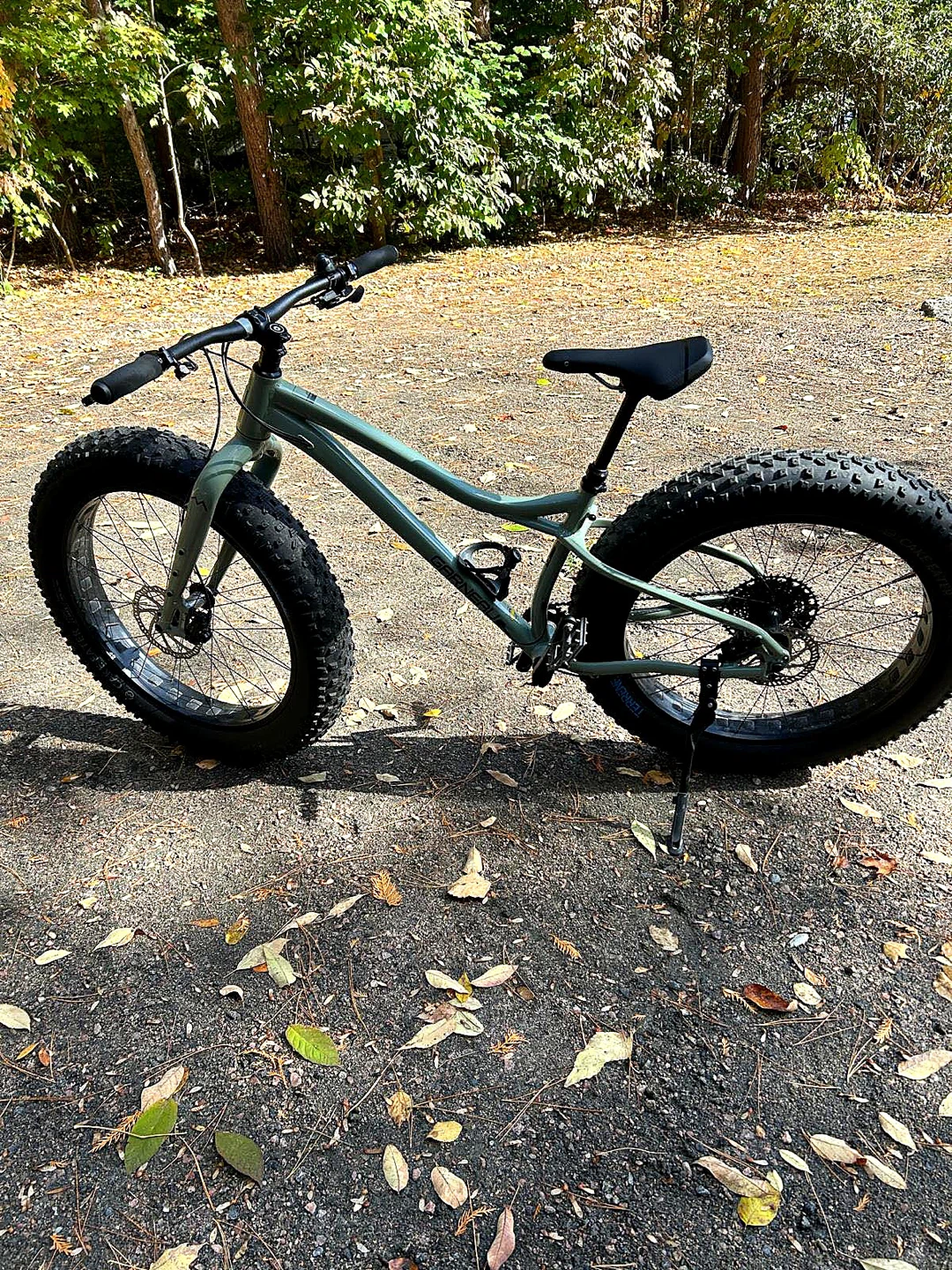 Garneau Gros Louis 2 Fat Bike MED Frame - photo 3