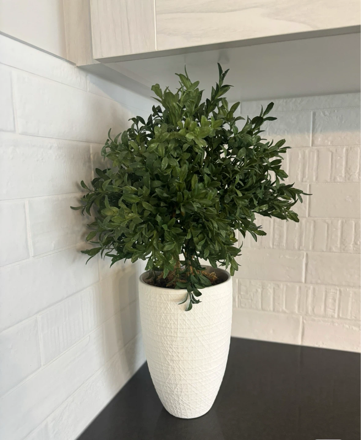 Artificial Boxwood Topiary in White Textured Pot