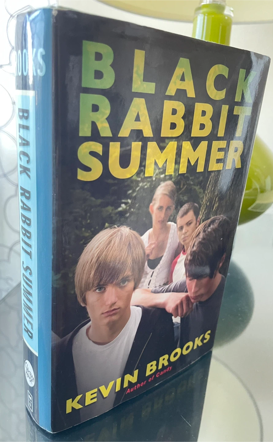 Black Rabbit Summer Hardcover Book