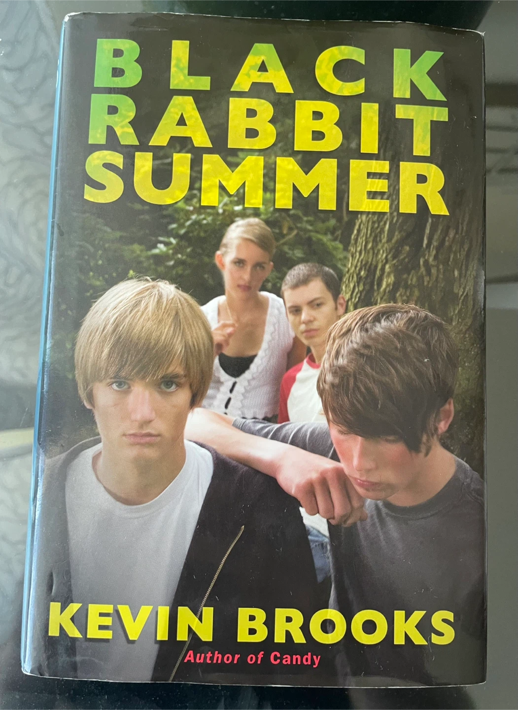 Black Rabbit Summer Hardcover Book - photo 2
