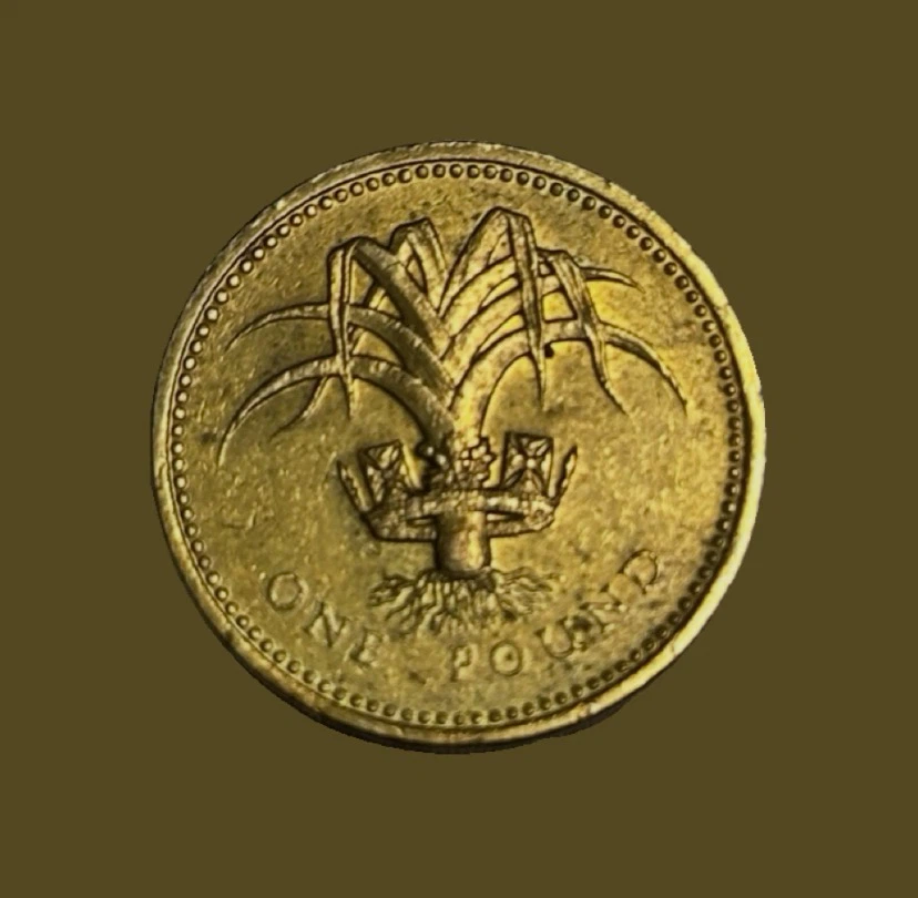 1990 UK One Pound Coin