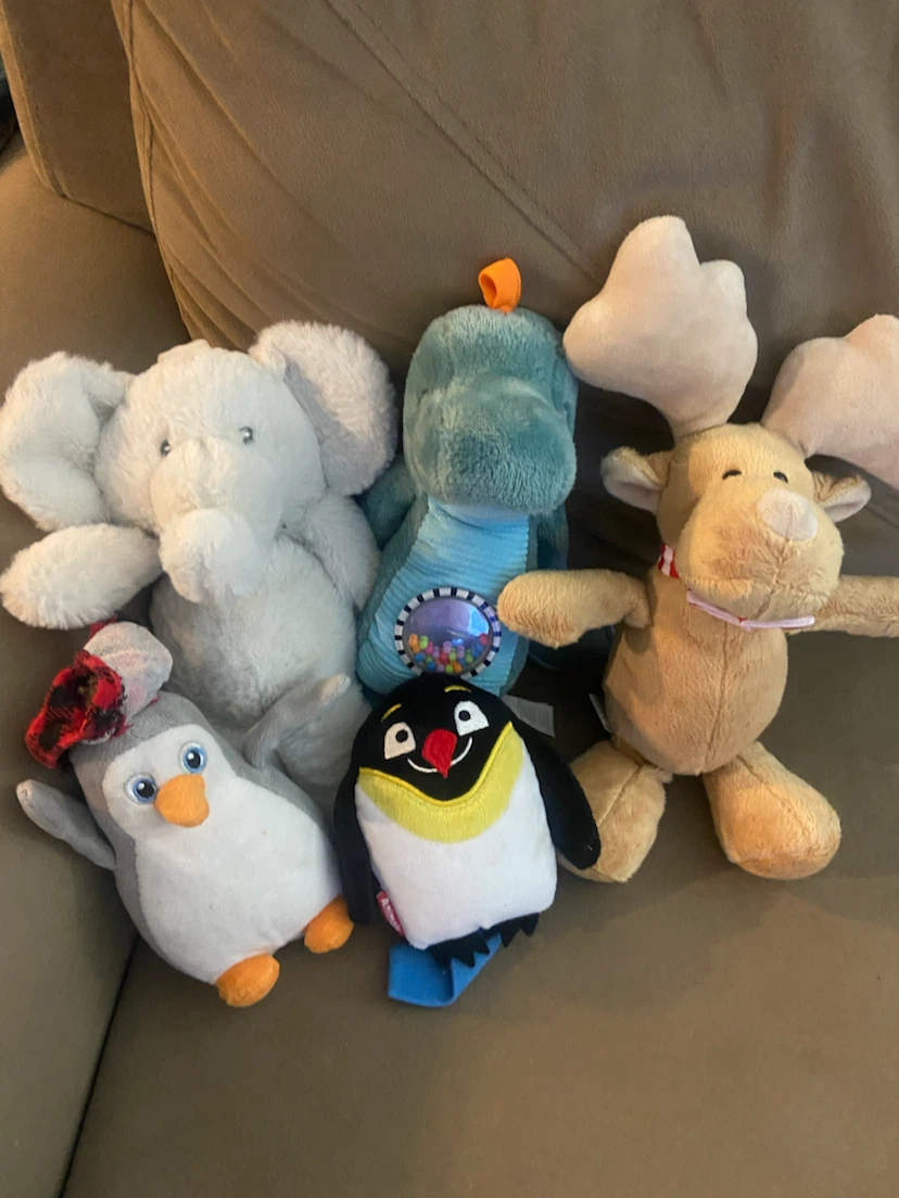 Plush Animal Toys