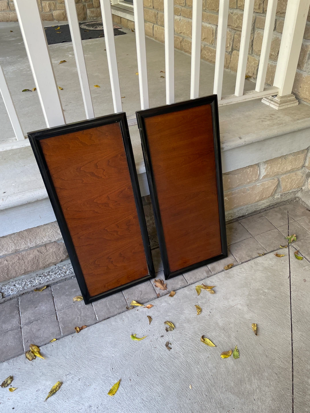 Set of 2 Wood Cabinet Doors