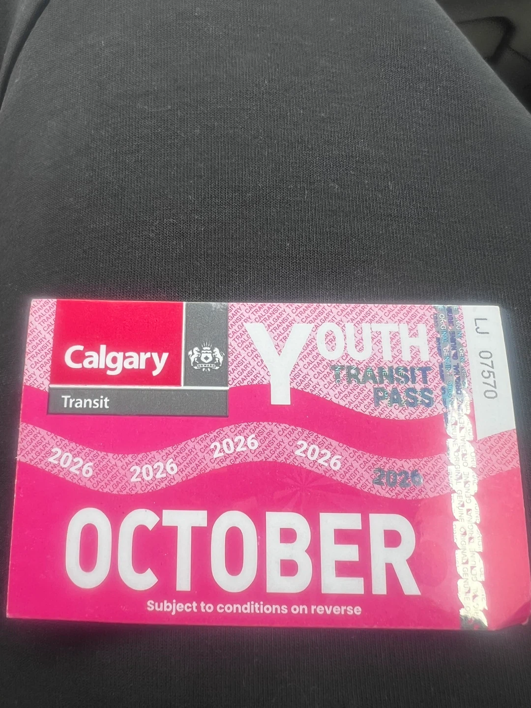 Calgary Transit October 2026 Youth Pass - photo 2