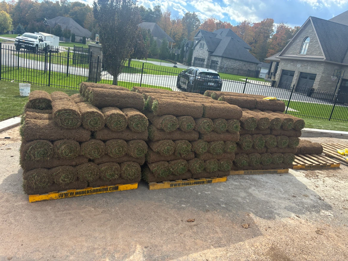 Fresh Grass Sod Rolls
