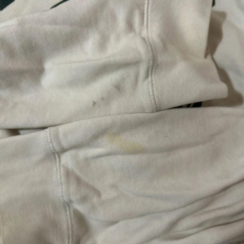 Roots Athletics Club Hoodie - White - photo 5
