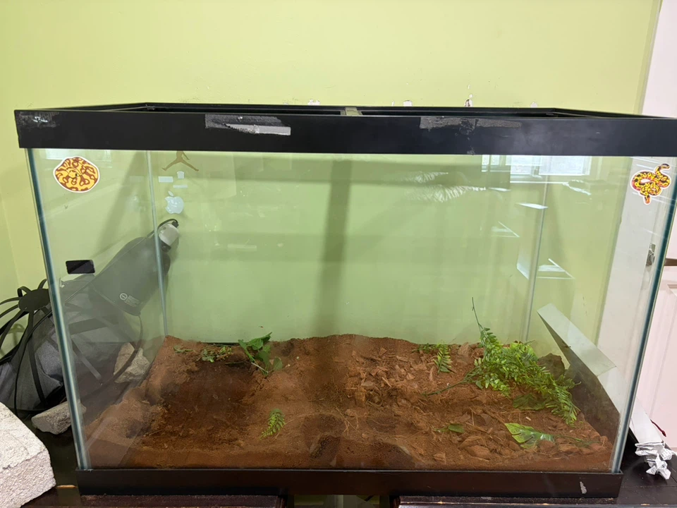 Reptile Terrarium Tank or fish tank