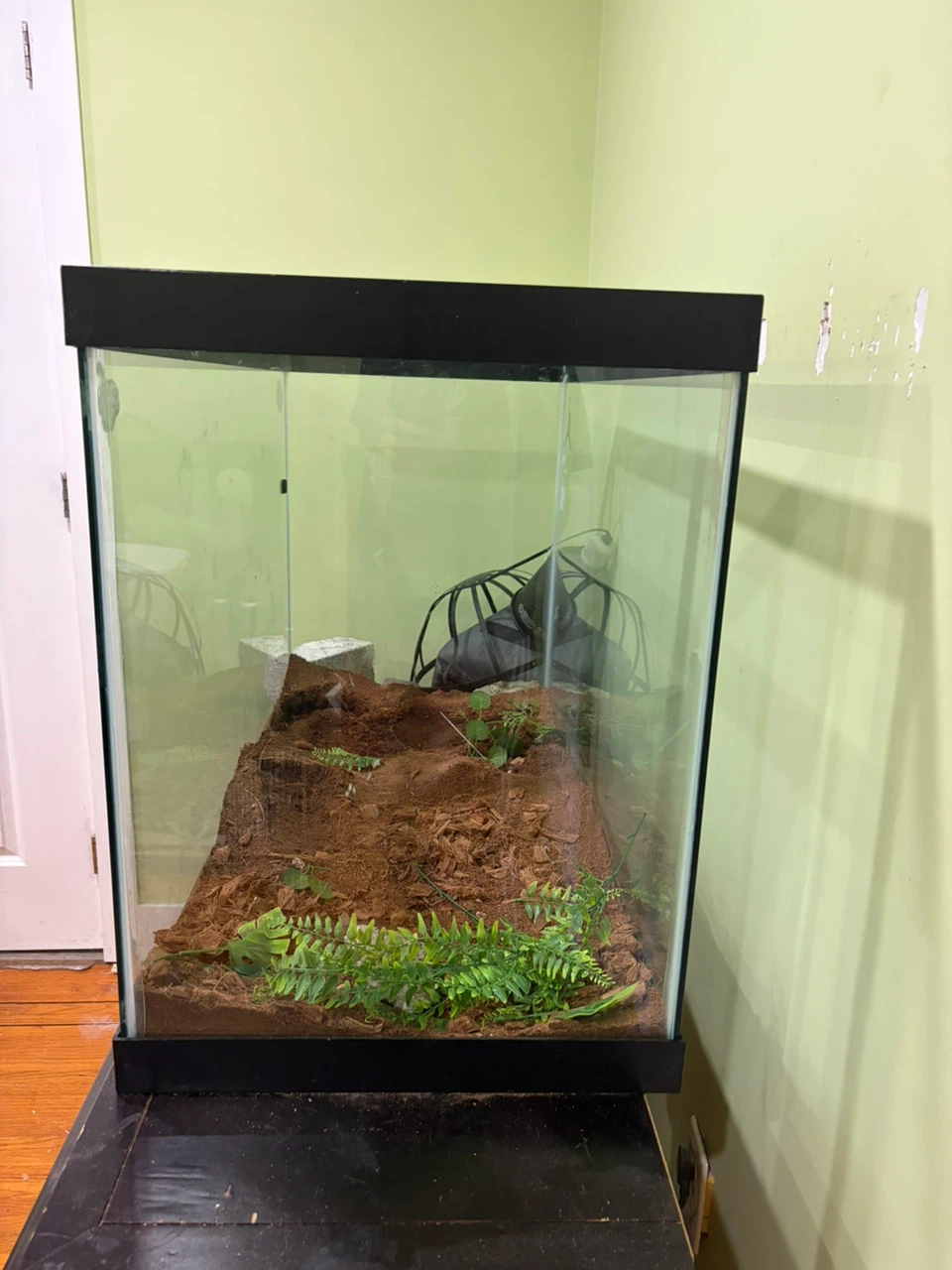 Reptile Terrarium Tank or fish tank - photo 2