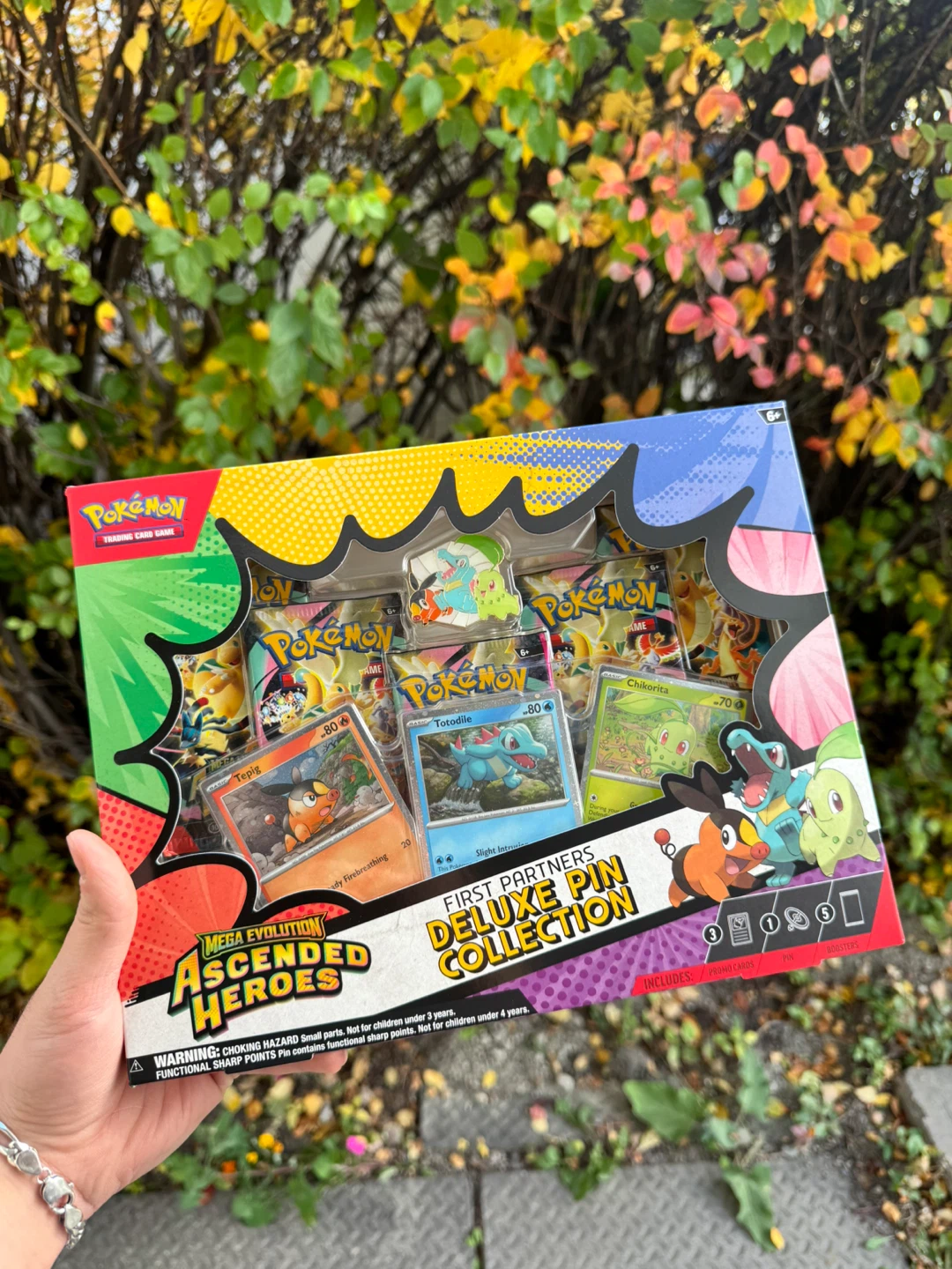 Ascended Hero Deluxe pin and sticker packs