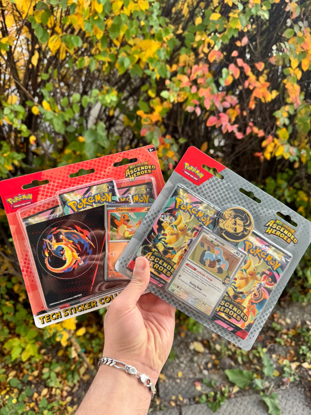 Ascended Hero Deluxe pin and sticker packs - photo 2