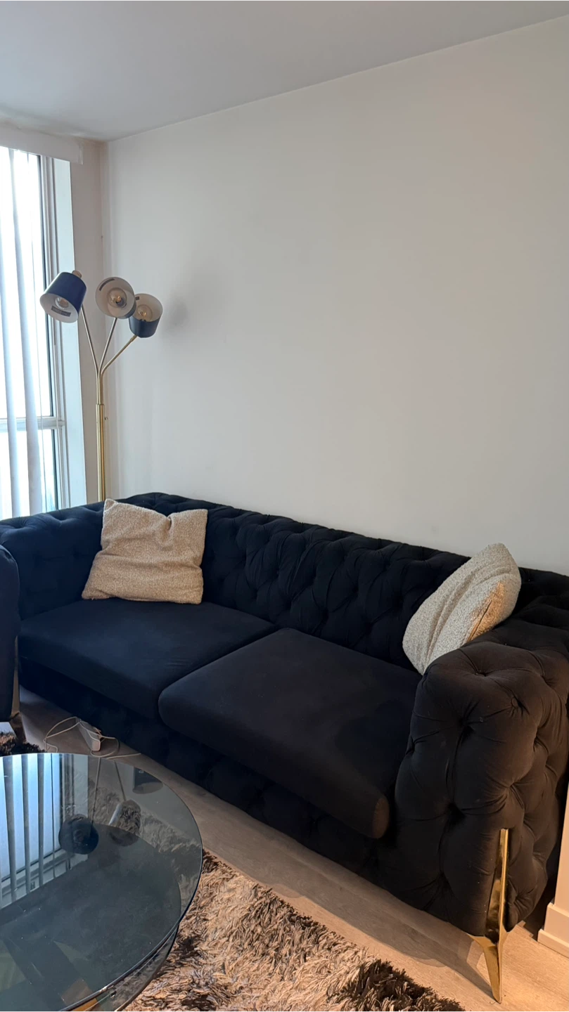 Black Tufted Velvet Sofa