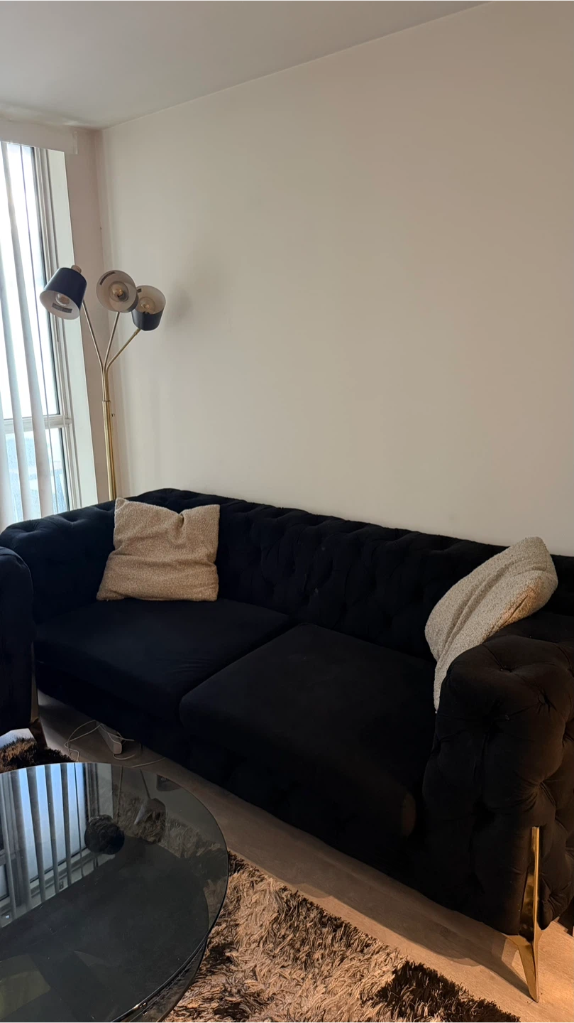 Black Tufted Velvet Sofa - photo 4