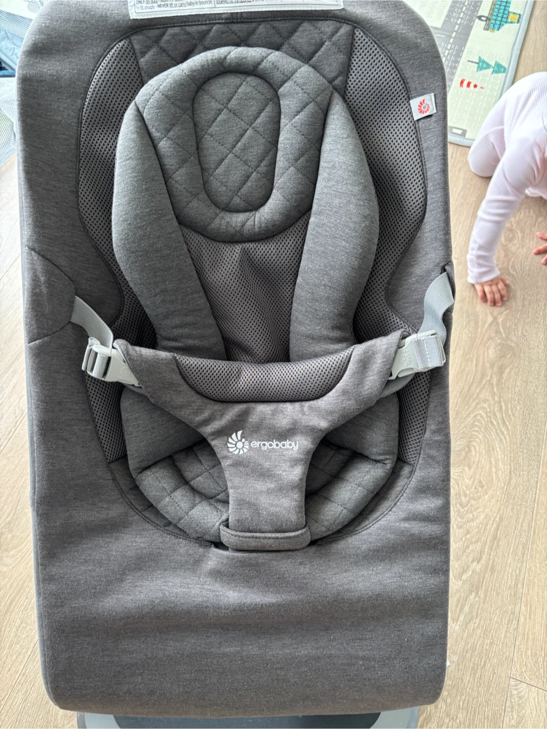 Ergobaby Baby Bouncer - photo 2