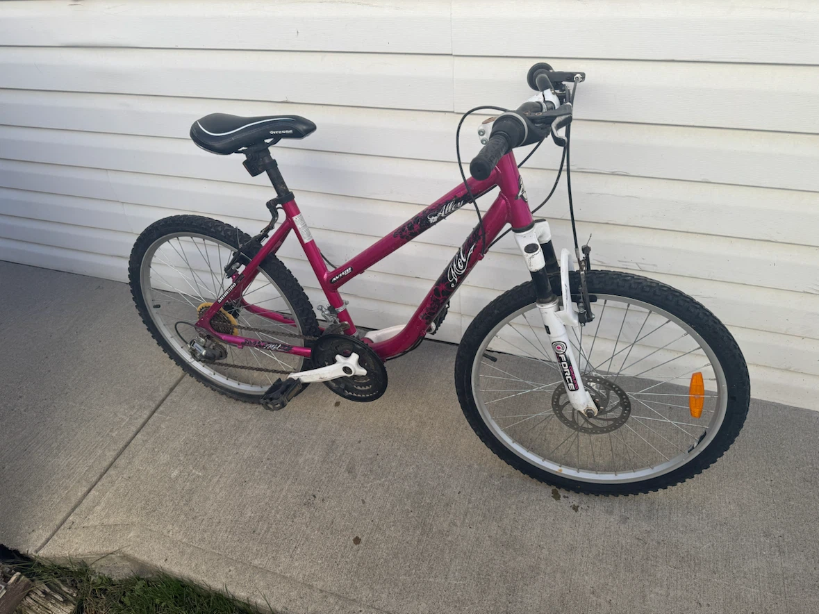 Girls / Ladies Avico Aluminum Mountain Bike - photo 2