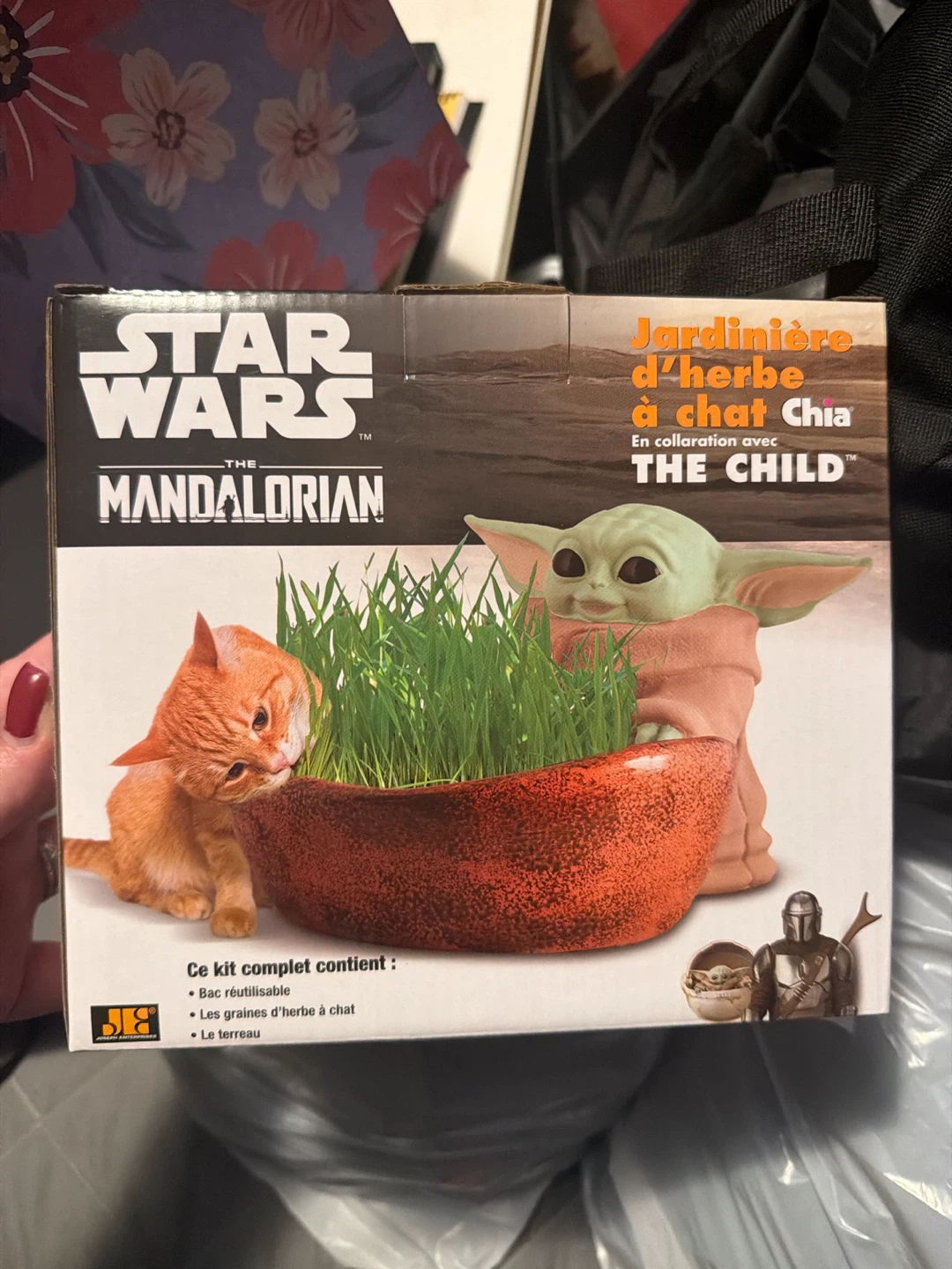 Star Wars The Mandalorian Chia Cat Grass Planter