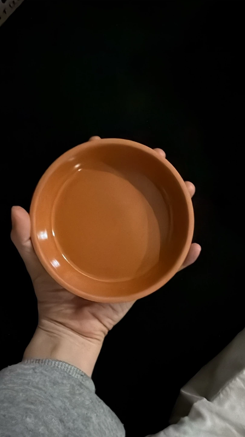 Set of 6 Small Terracotta Plant Saucers - photo 2