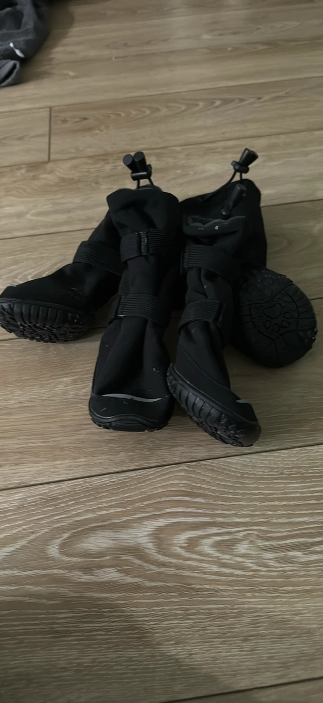 Set of 4 black dog boots