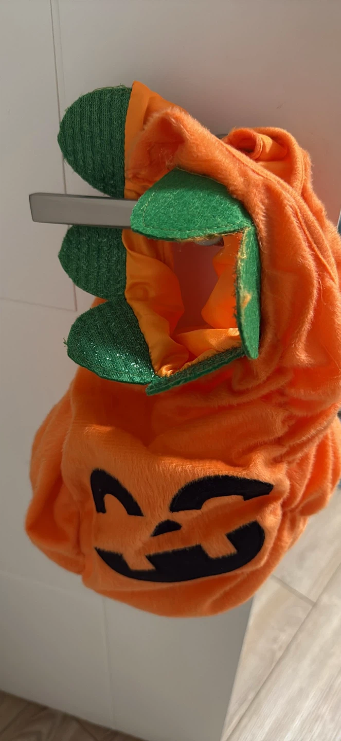 Pumpkin Costume for Pet