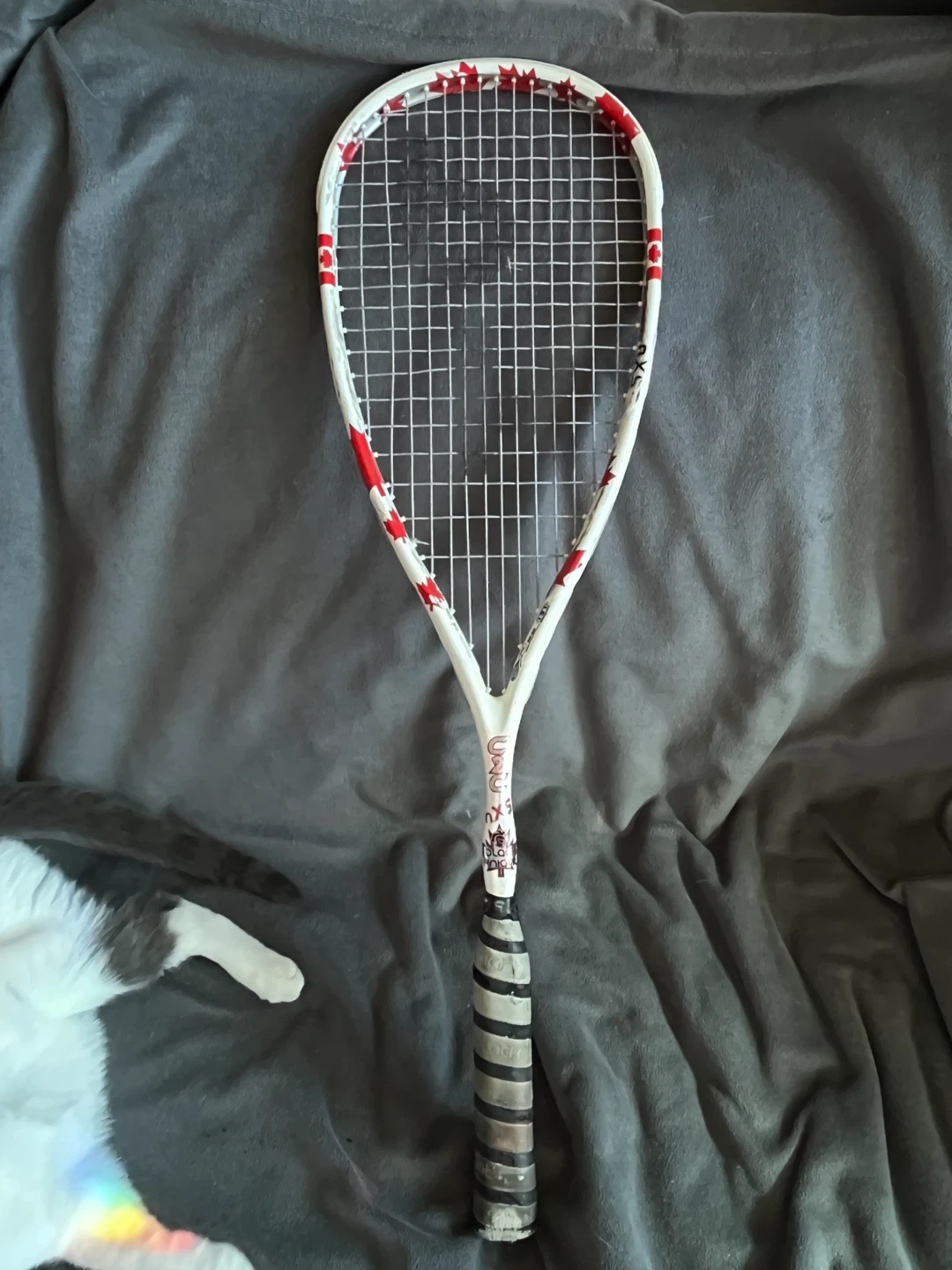 Black Knight C2C nXS Squash Racket - photo 5