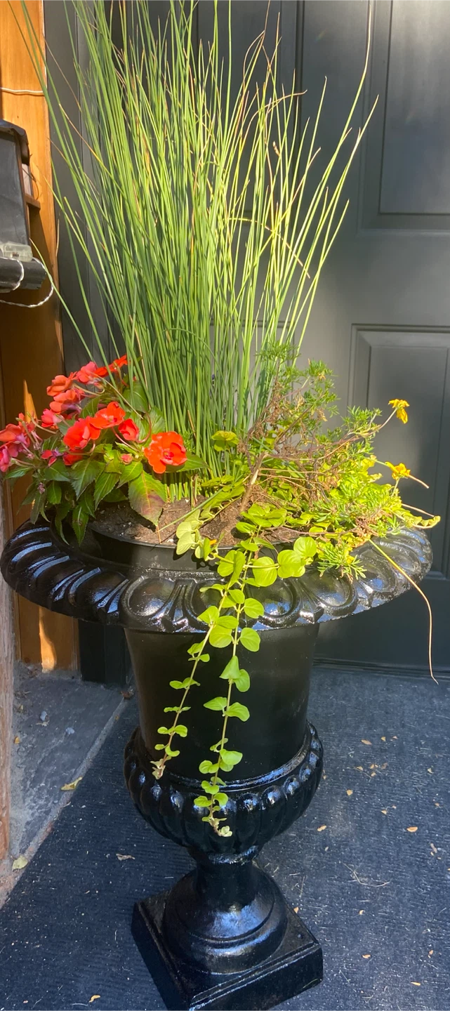 Pair of Cast Iron Garden Urns - photo 4
