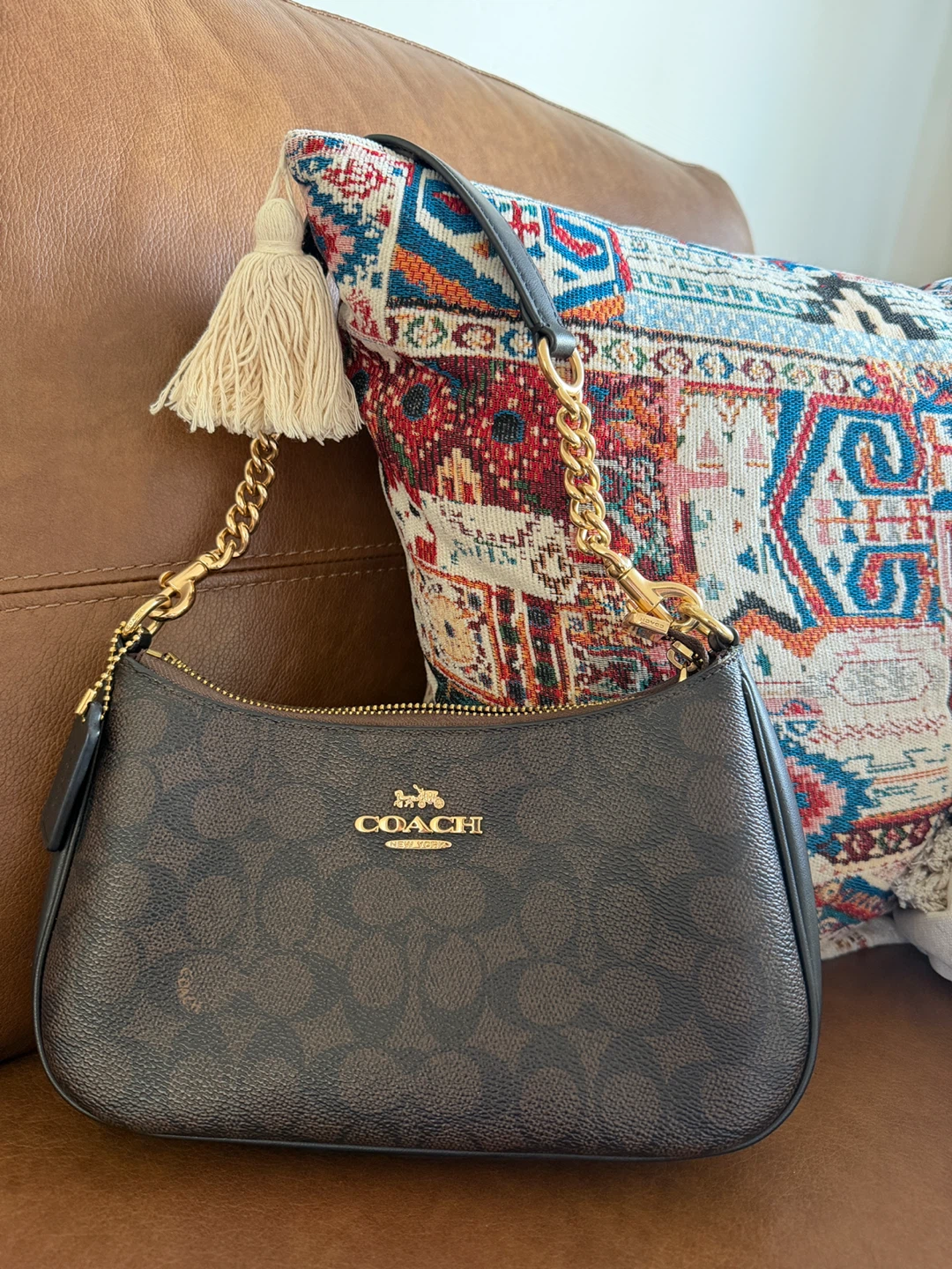 Coach Signature Canvas Teri Shoulder Bag