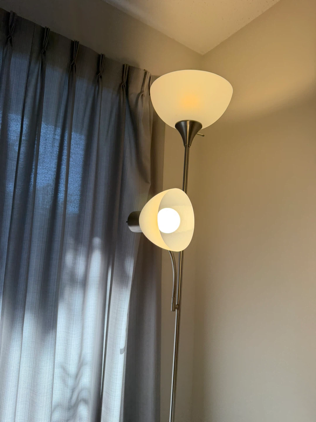 Floor Lamp with Adjustable Reading Light
